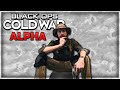 Black Ops Cold War Alpha Thoughts