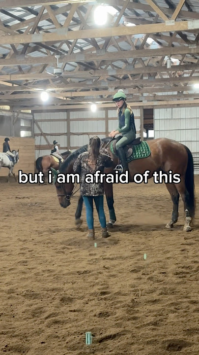 poor baby #horse #horses #equestrian #viral #trending #trend #fyp #shorts #horseriding #riding #yt