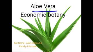 aloe vera economic Botany
