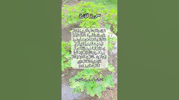 سورة المائدة ٨٩ #قرآن #قران #قرآن_كريم #قران_كريم #quran #قرأن