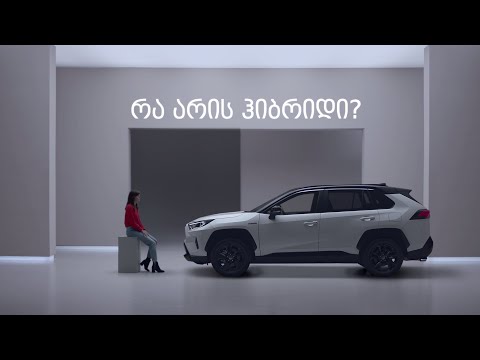 რა არის ჰიბრიდი?