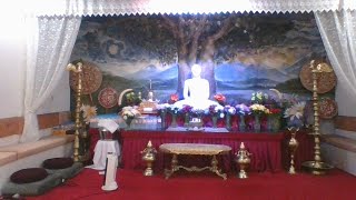 Evening Buddha Puja And Pirith Chanting  May You All Be Well And Happy