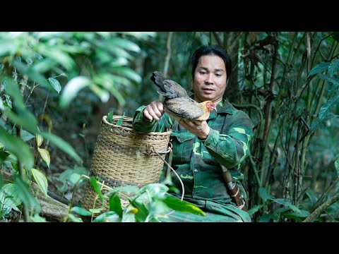 Effective Chicken Traps, Fishing, Enjoying Natural Specialties: River Survival | EP.445