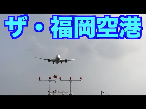 福岡空港周辺で離陸と着陸を撮影