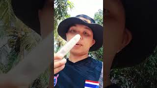 เคสลูกควายป่วยอีกแล้ว ท้องเสีย มานาน หมอมารักษาแล้ว3 คน ไม่หาย