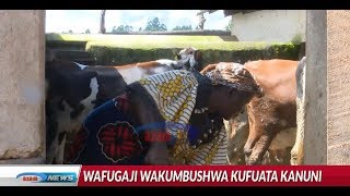 Wafugaji Njombe 'wafundwa' ufugaji bora
