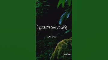 سورة ابراهيم الشيخ علي جابر
