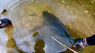 最強の泳がせ釣りでダム湖の怪物捕獲【魚×ネズミ】