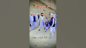 Pashto Naats Beautiful Pashto Youtubeshorts Shorts Foryou Ytshorts Pashto Pashtonaat2024 