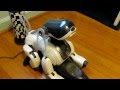 Cute And Smart Sony Robot Dog Aibo ERS 7 MP4