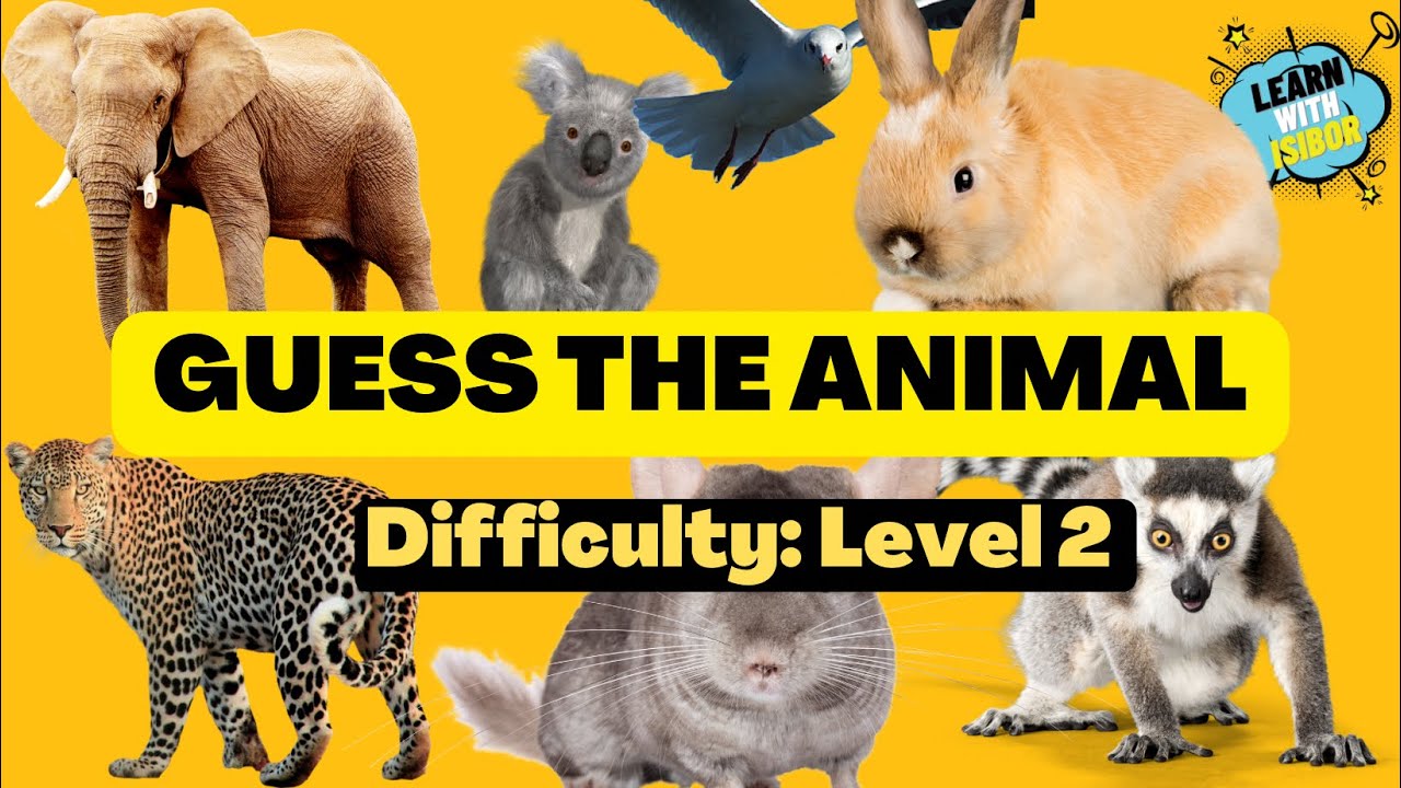 Челлендж животные. Guess the animal. Guess the animal for Kids. Animal Quiz 5 класс. ПАТИ%20 ЭНИМАЛС.
