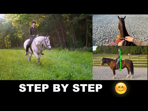 Video: How To Learn To Ride A Horse