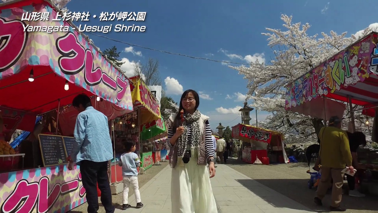 日本の桜 山形県 上杉神社 松が岬公園 Japan Sakura Yamagata Uesugi Shrine Matsugasaki Park 山形縣 上杉神社 松岬公園的櫻花 Youtube