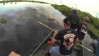 Gator Gallows Guide Service