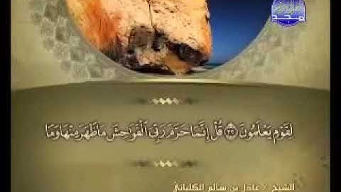 سورة الأعراف 7 - 114 عادل الكلباني - قراءة مرتلة