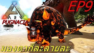 BGZ - ARK Pugnacia Plus EP#9 จับตัวนิ่มหายาก Conflagrant Doedicurus