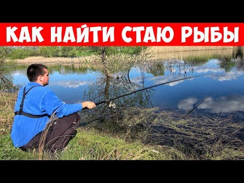 Как найти рыбу? РЫБАЛКА с ПОПЛАВКОМ на КАРАСЯ | Серия 1