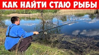 видео Карась » Сайт о рыбалке для начинающих