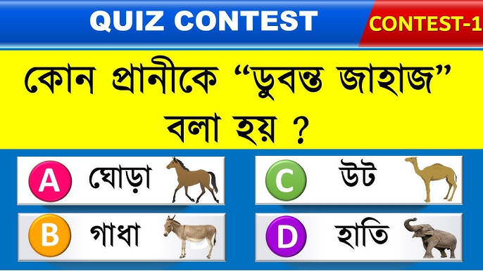 yalangoch oriq Osiyo erotika orqa korinishi Ayollarning porno suratlari