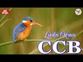 Hinos ccb 2023 - CCB hinos Cantados - O belo e profundo hino nacional é ouvido todos os dias