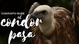 El Condor Pasa - Conjunto Nube