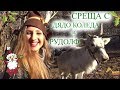 Среща с Дядо Коледа и Рудолф/Ася Енева/Meet Santa Claus/Asya Eneva