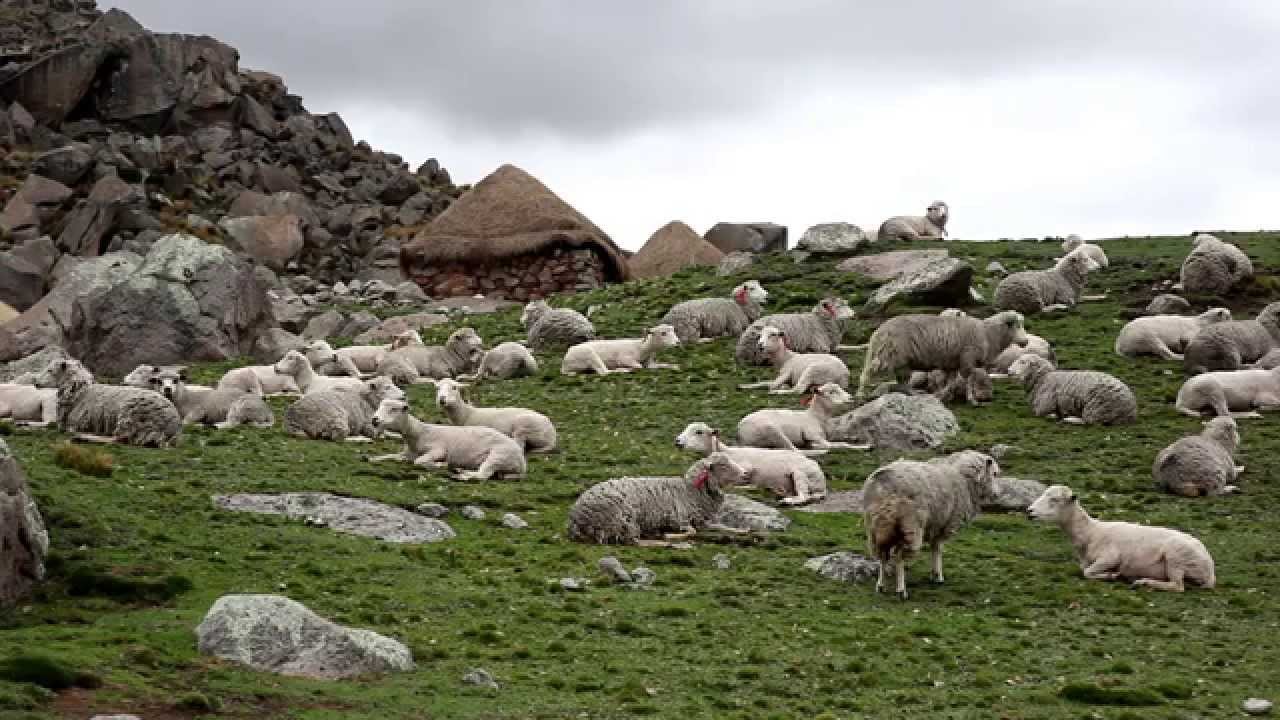 La Herranza de Pasco