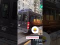 Собачья дивизия