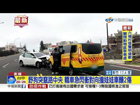 野狗突竄路中央 轎車急閃衝對向撞娃娃車釀2傷│中視新聞 20230330