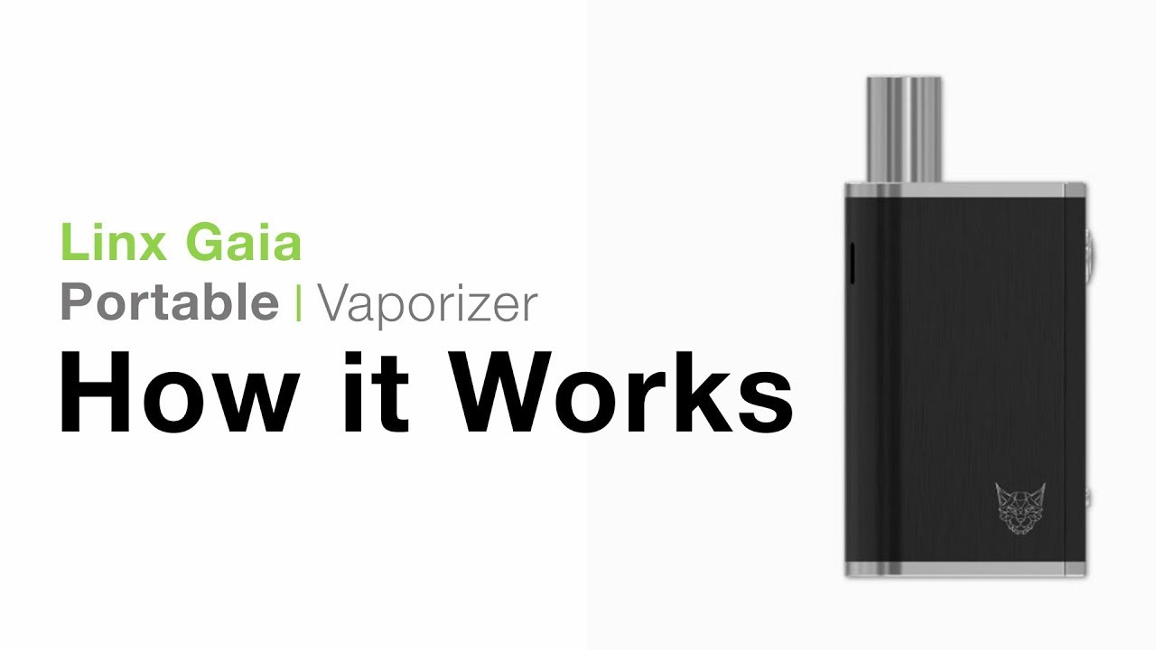 Linx Gaia Review & How-To