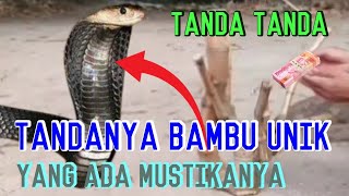 ATM gaib penarikan khodam bambu unik asli