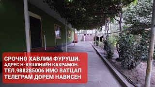 Хонахои фуруши ТЧ. Н-КУШОНИЁН ЧИСЛОИ 07,08,2023,СОЛ.