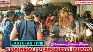 JANTURAN TPNB || TURONGGO PUTRO NGESTI BUDOYO || Live Parakan Gadog Purwanegara