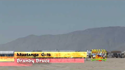 Brandy Bruce Mustango G76