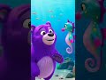 The Purple Bear Swims 💜🐻