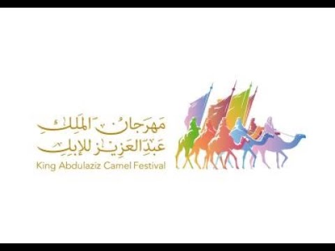 تشاهدون اشواط رموز سن الحول والزمول الفترة المسائية في ختامي مهرجان الملك عبدالعزيز للابل 2025