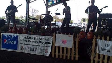 Surviving The Fall- Surviving The Fall