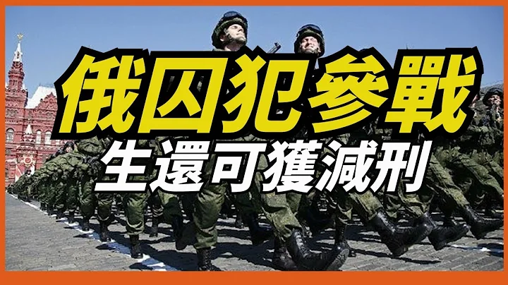 【俄囚犯参战】生还可获减刑，俄扩军13.7万，总兵力高达115万，难道俄乌战争要发生新改变？ - 天天要闻