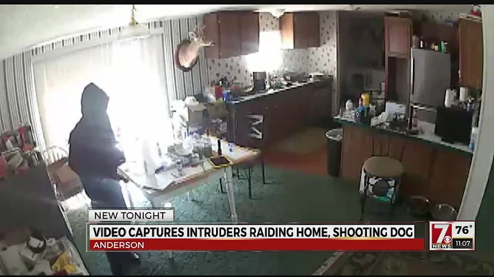 Surveillance video captures intruders burglarizig ...