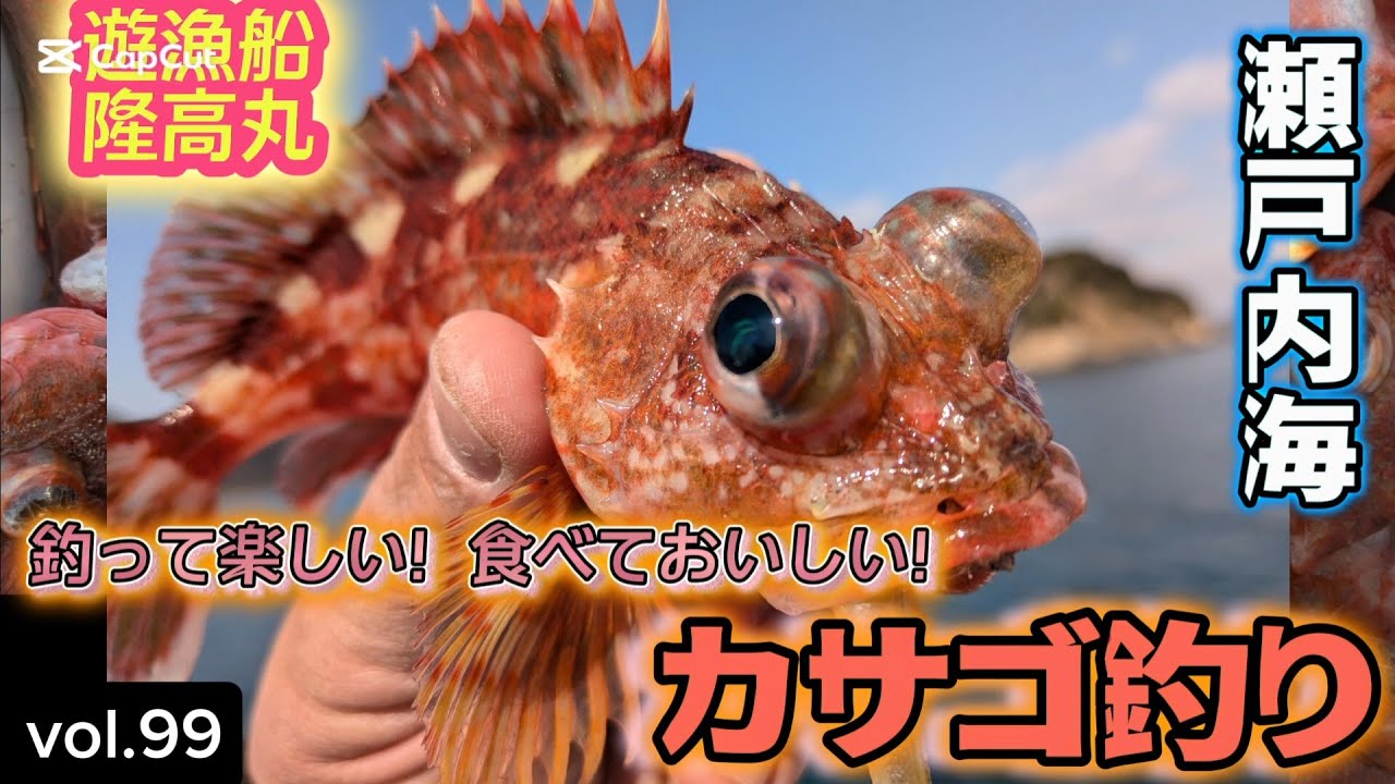 vol.99 【釣って楽しい食べておいしい】船カサゴ釣り 【遊漁船 】