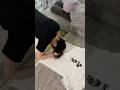 【裏技】Tシャツで髪を簡単にまとめる方法