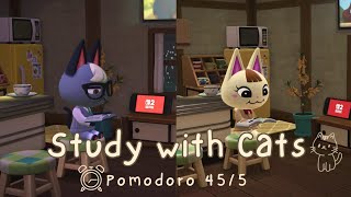 β°οΈPomodoro 45/5 β’ (ASMR) T.V. playing in the background πΊ | Study with Cats π