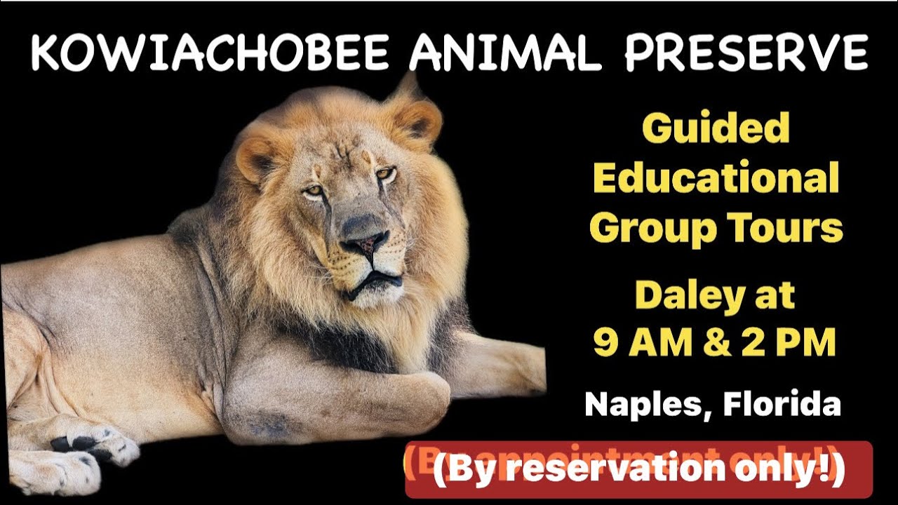 Kowiachobee Animal Preserve | Teaching Responsible Conservation for Sustainability | Naples, Florida