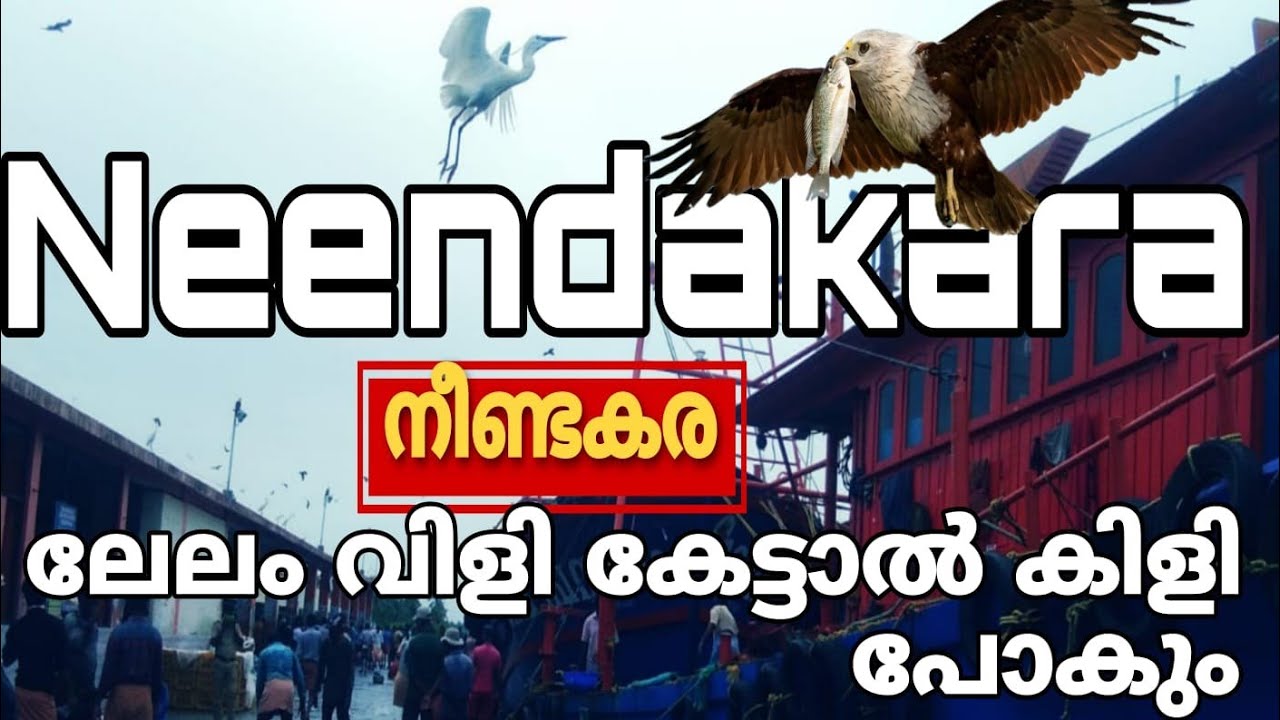 #255 പച്ചയ്ക്കു ലേലം വിളി / #neendakara #harbour #fishmarket 