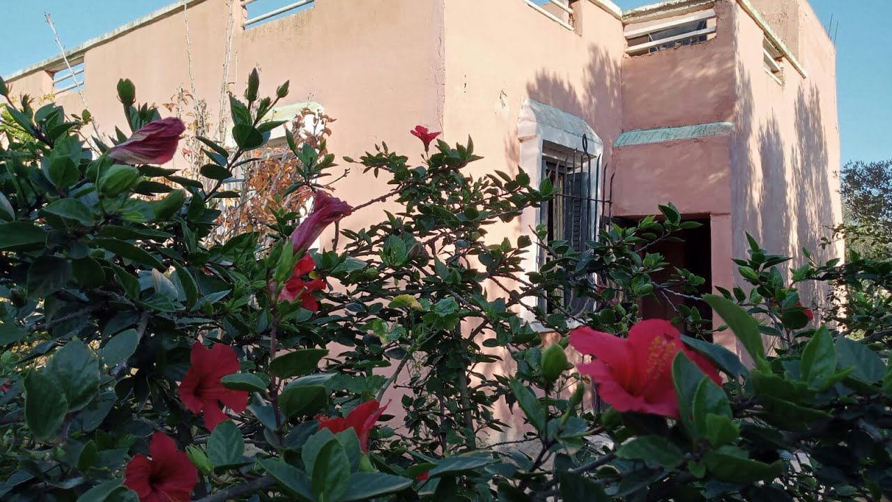 ( تم البيع) فيرمة صغيرة رائعة محفظة للبيع على الكودرون الدار🏡🌲🌻🌱والبير بتمن مناسب بدكالة