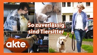 Gute Betreuung für den Hund? So zuverlässig sind Tiersitter | Akte | SAT.1