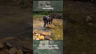 Part 1 | Building a $1 Coconut Shelter 🌴 Primitive Survival Villa in the Forest