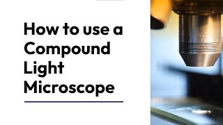 Exclusive How to use a Compound Light Microscope Information