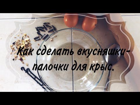 Вкусняшки своими руками для грызунов