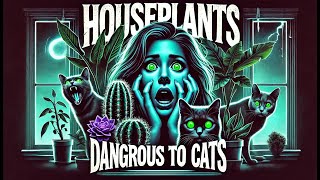How to tell which plants are safe for your cat!
